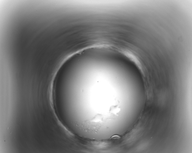 X0000089441103200706221225