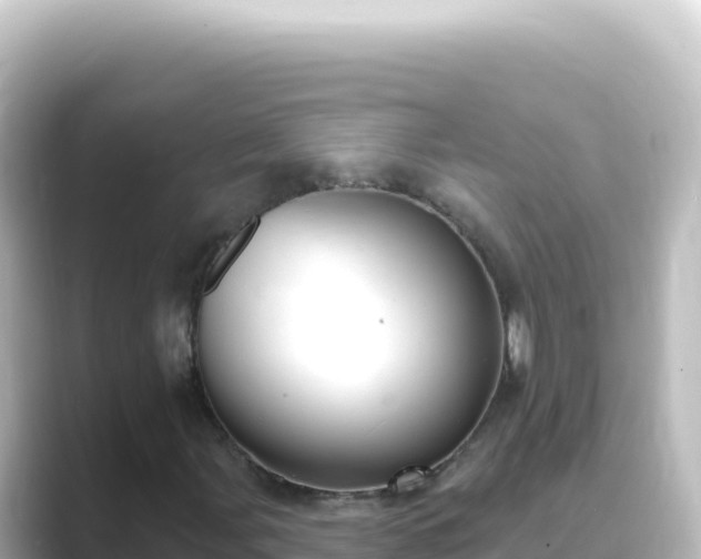 X0000089441107200706221224