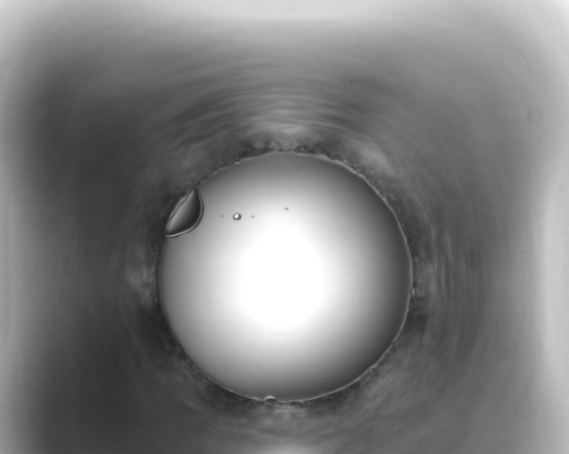 X0000089441109200706221224