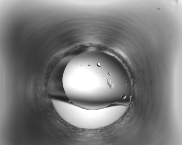 X0000089441112200706221224