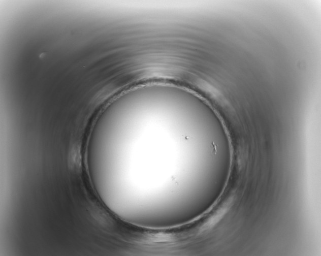 X0000089441113200706221224