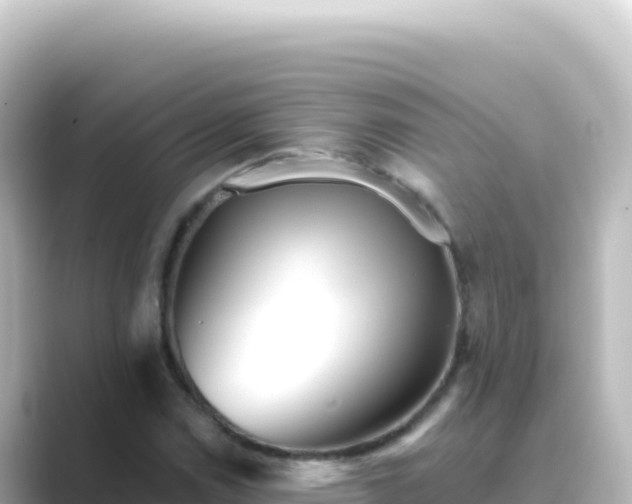 X0000089441114200706221224