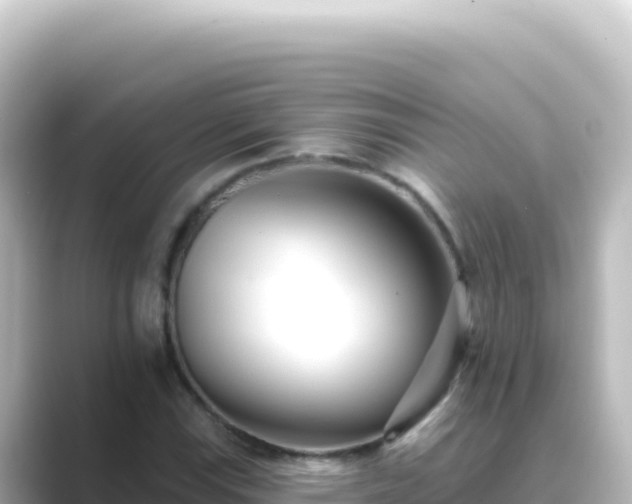 X0000089441115200706221224