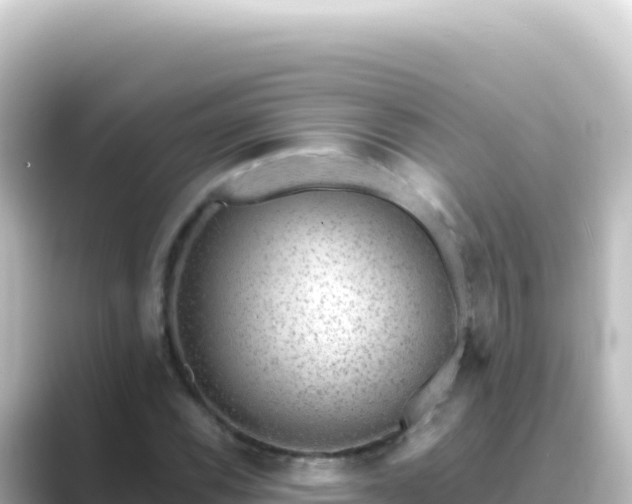 X0000089441116200706221224