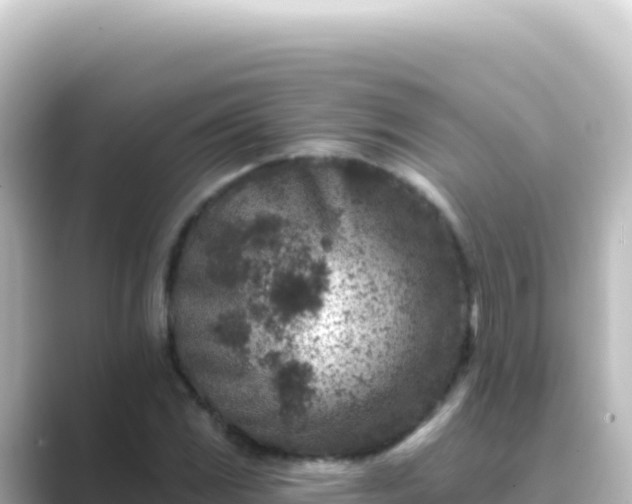 X0000089441117200706221224