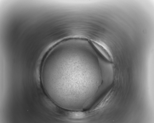 X0000089441120200706221224