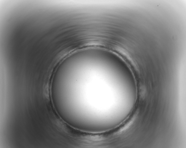 X0000089441121200706221224