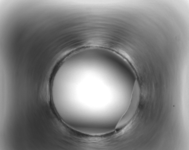 X0000089441123200706221224