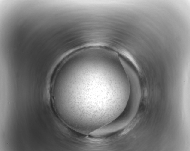X0000089441124200706221224