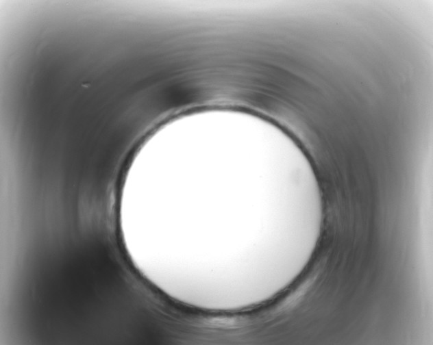 X0000089441126200706221224
