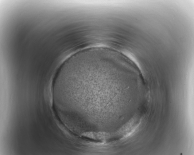 X0000089441127200706221224