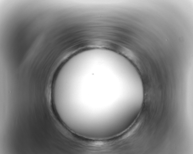 X0000089441130200706221224