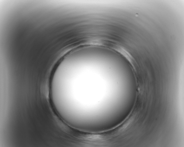X0000089441131200706221224