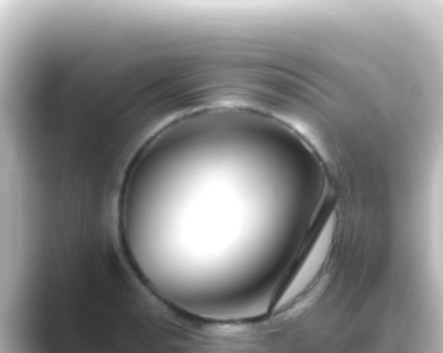 X0000089441134200706221224