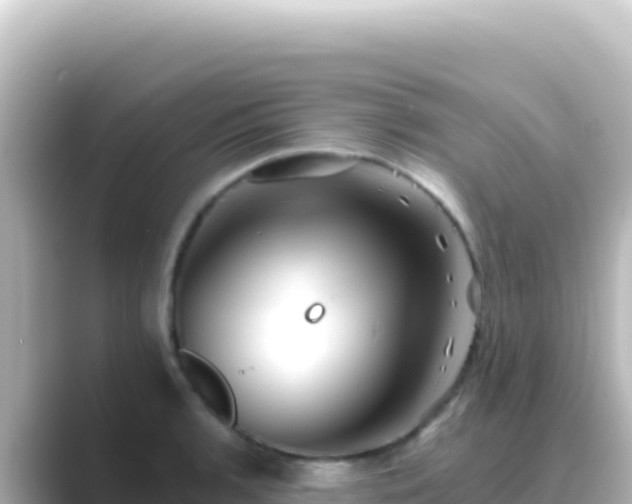 X0000089441136200706221224