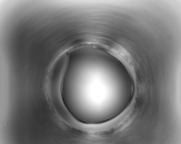 X0000089441138200706221224
