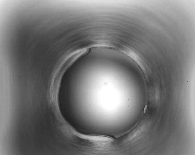 X0000089441140200706221224