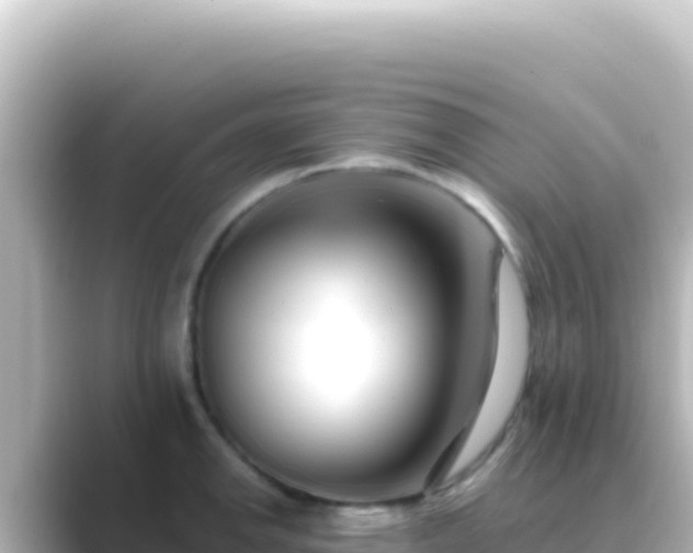 X0000089441142200706221224