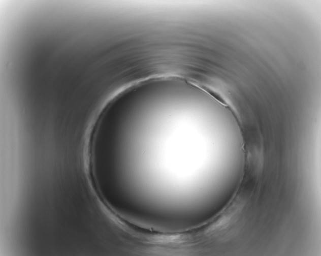 X0000089441143200706221224