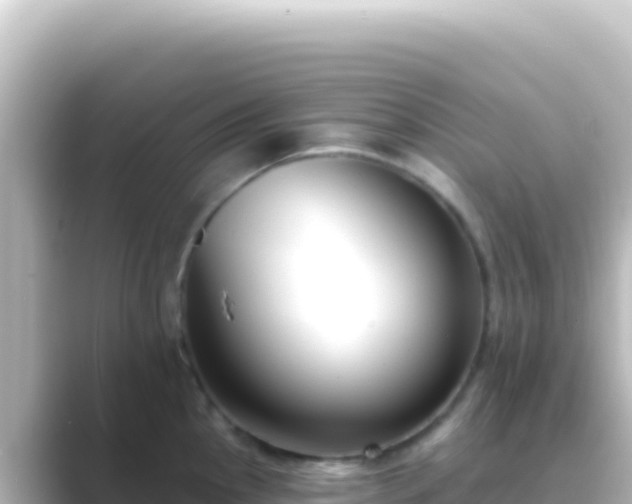 X0000089441145200706221224