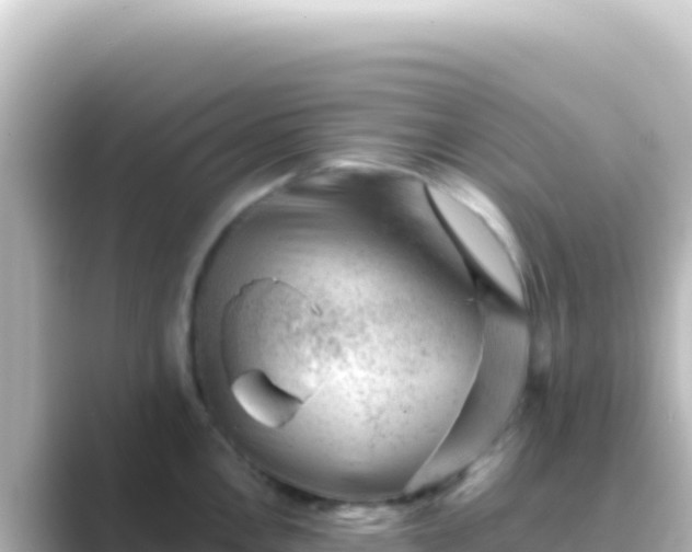 X0000089441146200706221224
