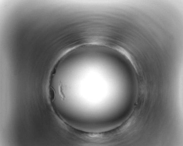 X0000089441147200706221224