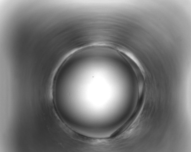 X0000089441148200706221224