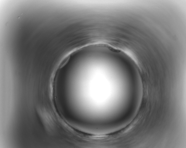 X0000089441151200706221224