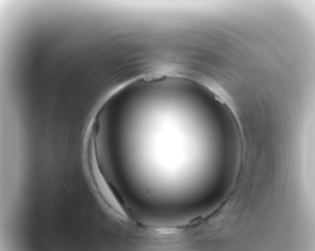 X0000089441152200706221224