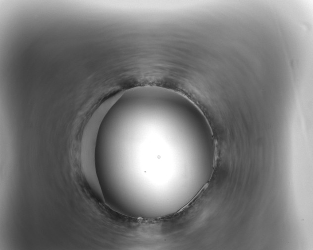 X0000089441153200706221224