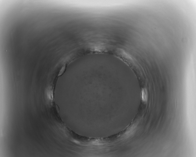 X0000089441155200706221224
