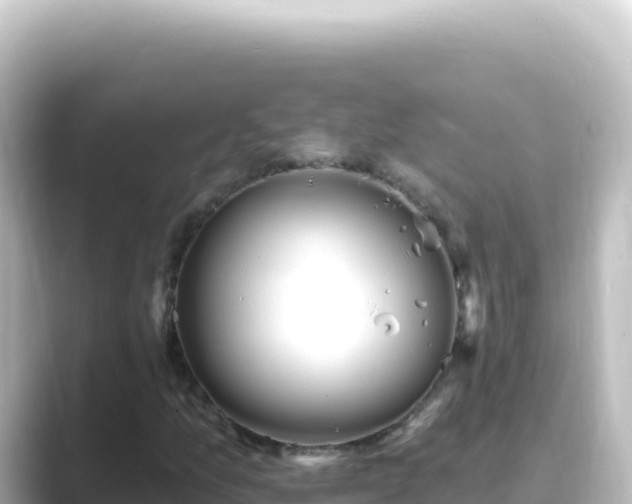 X0000089441157200706221224