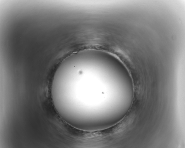 X0000089441159200706221224