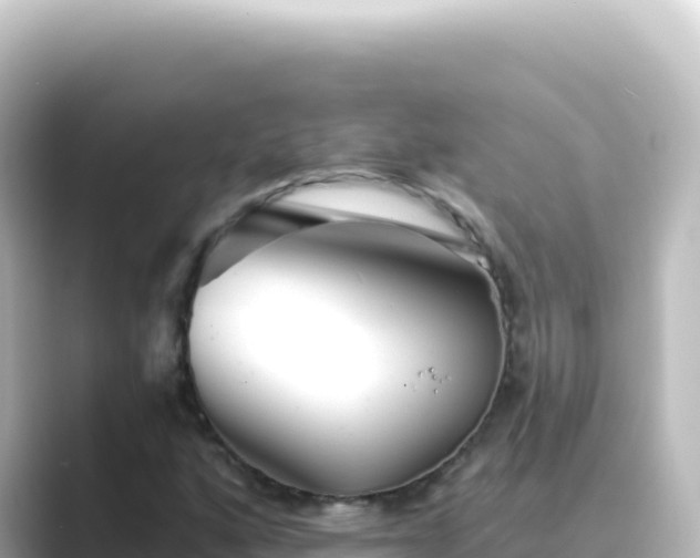 X0000089441160200706221224