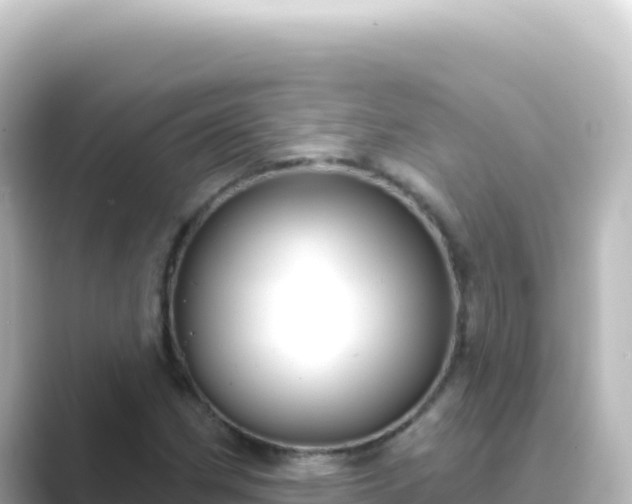 X0000089441162200706221224