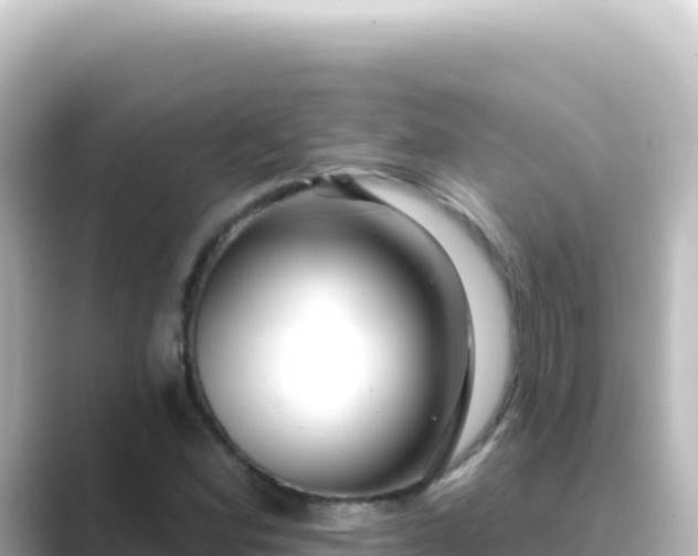 X0000089441164200706221224