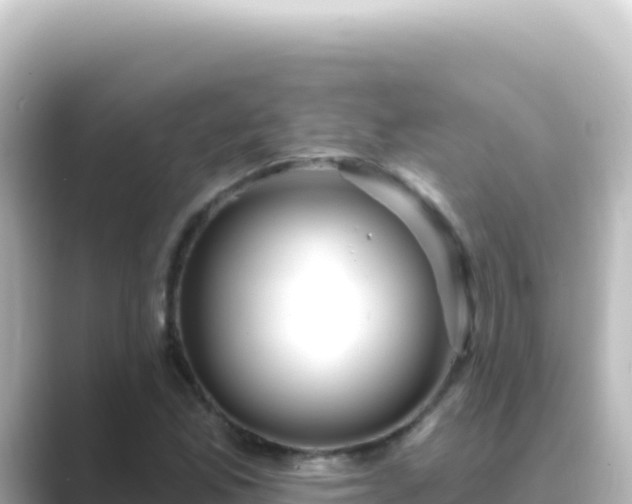 X0000089441165200706221224