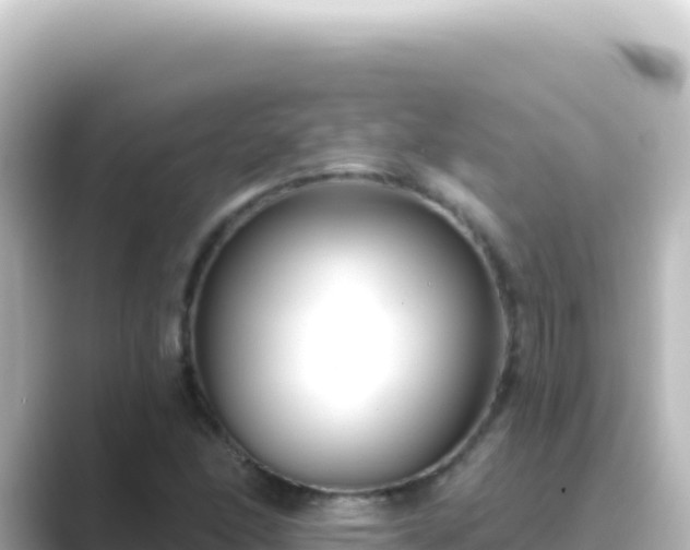 X0000089441166200706221224