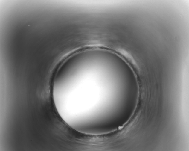 X0000089441167200706221224