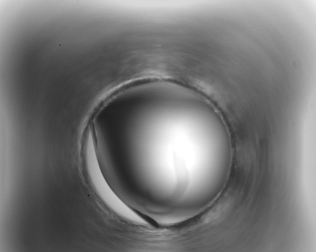 X0000089441168200706221224