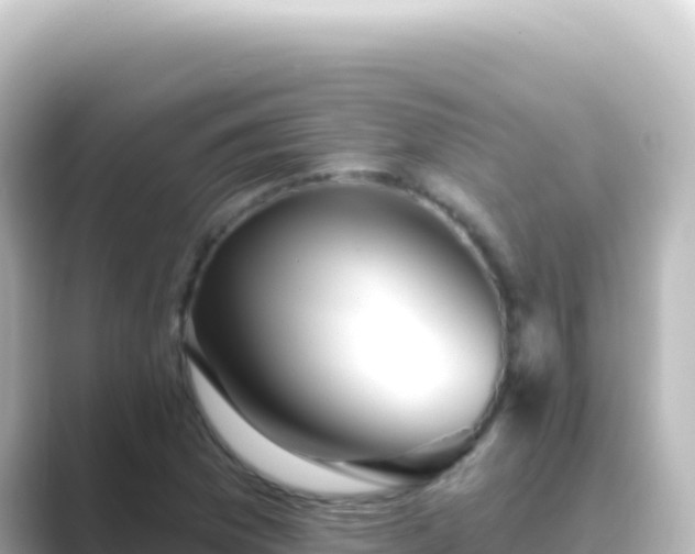 X0000089441169200706221224