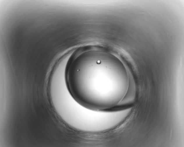 X0000089441172200706221224
