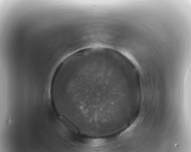 X0000089441173200706221224