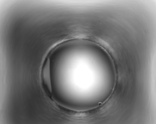 X0000089441174200706221224