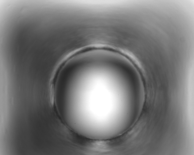 X0000089441175200706221224