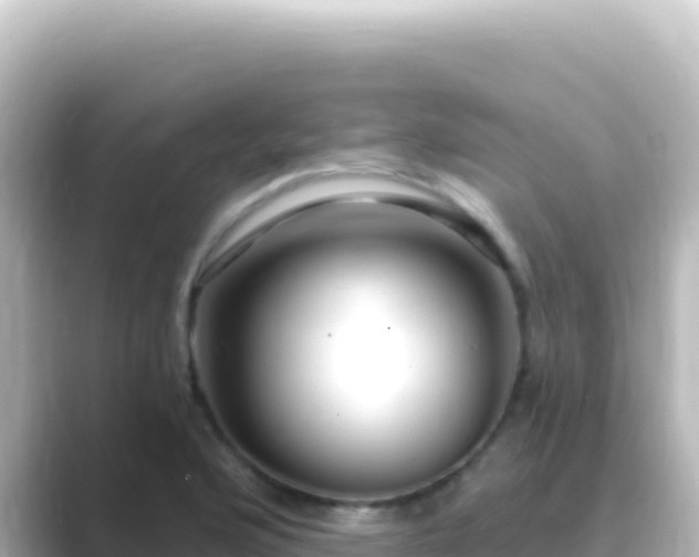 X0000089441176200706221224