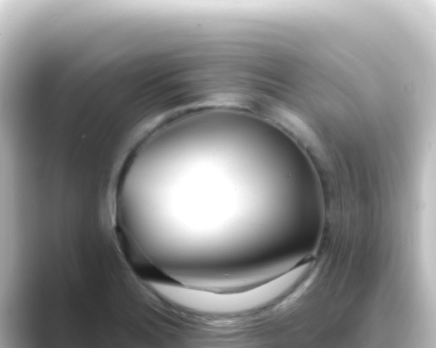 X0000089441180200706221224