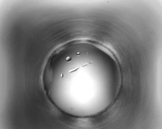 X0000089441181200706221224