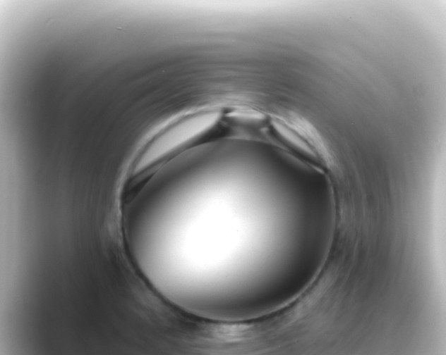 X0000089441184200706221224
