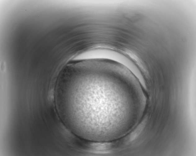 X0000089441185200706221224